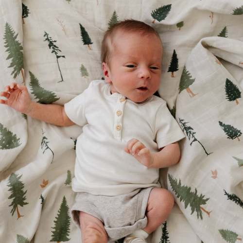 COTTON MUSLIN 2 PACK SWADDLES