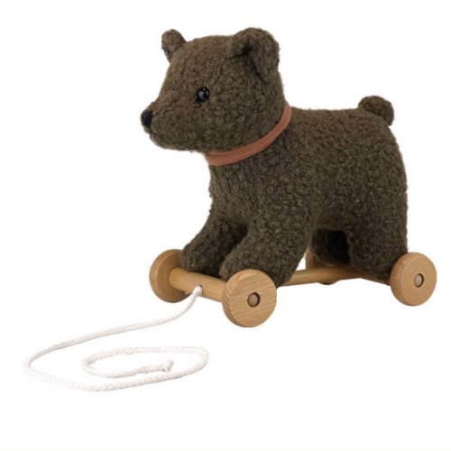 Pull-Along Raoul