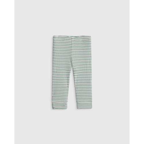 Softest Rib Leggings  in Green Stripe