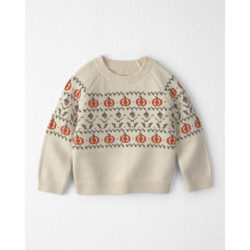 Toddler Organic Cotton Fair Isle Sweater Knit Pullover - Little Planet | Carter's