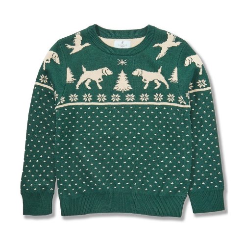 Class Club Little Boys Dog & Duck Intarsia Winter Pullover