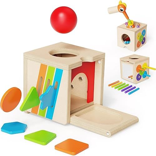 5 in 1 Montessori Activity Toys for 2 3 Year Old Boys and Girls, Wooden Learning Toys with Object Permanence, Bird Feeding Game, Fine Motor Skills, Problem Sloving
