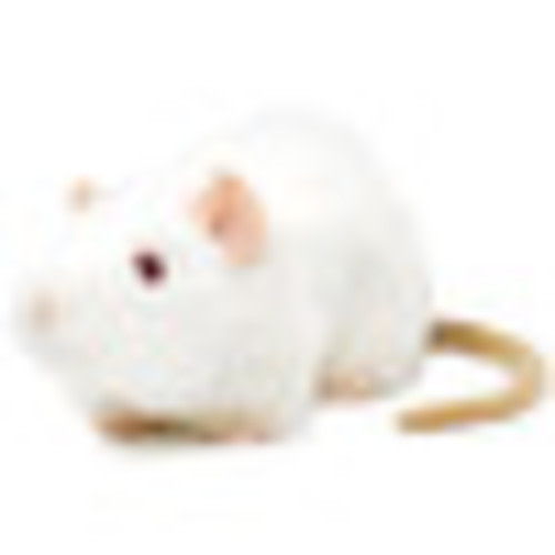 Wylie The White Rat | 7 Inch Stuffed Animal Plush | By TigerHart Toys - Viahart Educational Toy Company