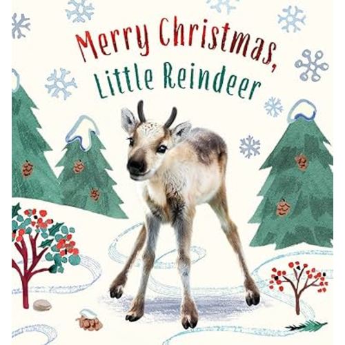 Merry Christmas, Little Reindeer: A Board Book (Baby Animal Tales)