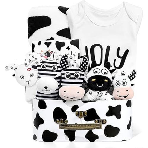 iAOVUEBY Baby Shower Gifts, Baby Gift Set for Newborn, Black and White High Contrast Baby Montessori Toys 0-6 Months Infant Rattle Socks Blanket Onesies, New Baby Gifts Basket for Girls Boys