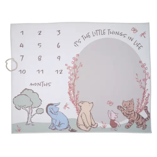 Pooh Bear & Pals Milestone Baby Blanket