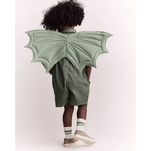 Toddler Boy Dragon Wings - Sage - Otter Avenue | Carter's