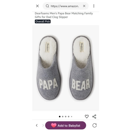 Men's Classic Papa Bear Slipper
