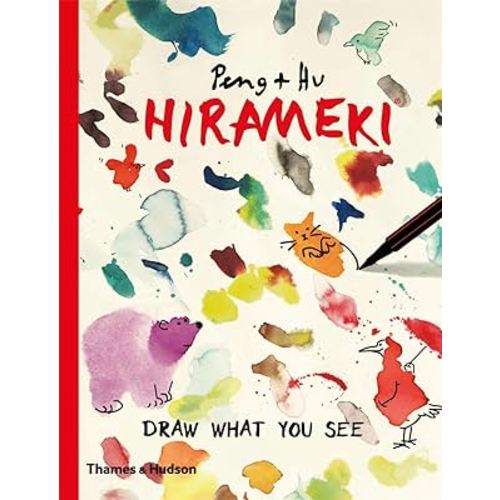 Hirameki Draw What You See! /anglais