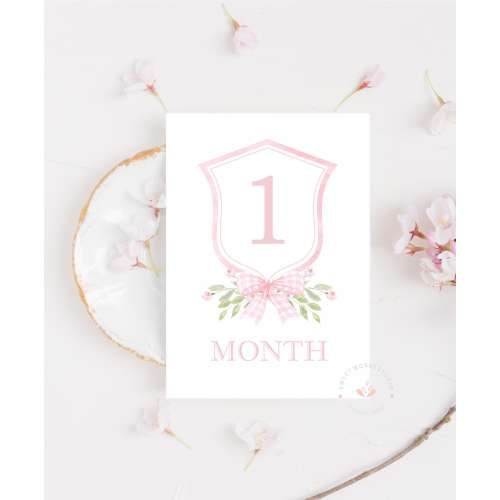 Girl Milestone Cards, Floral Crest, Pink Gingham Bow Milestone, Watercolor Crest Monthly Milestone Cards, Set of 16 Cards, Printable, NB2