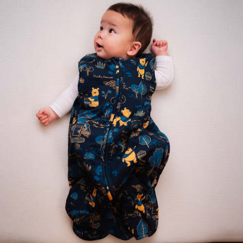 Disney Sleep Bag - Winnie the Pooh – Milk Snob
