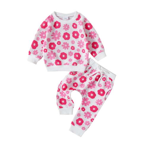 TAIAOJING Baby Clothes for Girls Toddler Long Sleeve Floral Prints T Shirt Pullover Tops Pants Outfits 3-6 Months