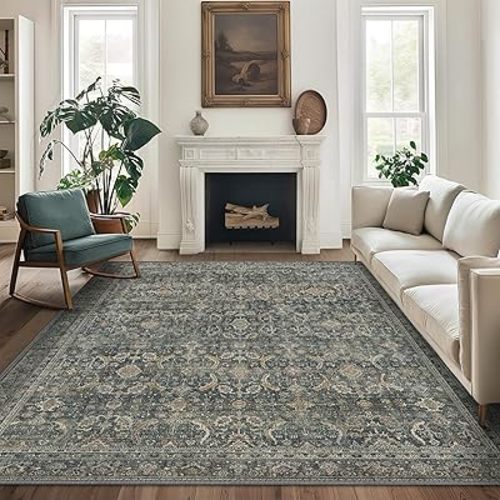 BESBLEE 5X7 Washable Area Rug for Living Room, Vintage Boho Non-Slip, Deep