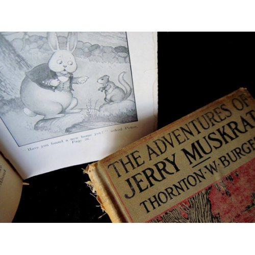 Burgess Bedtime Books Bedtime Books Thornton Burgess Reddy