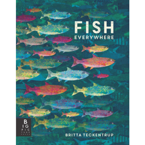 Peixos pertot arreu book by Britta Teckentrup