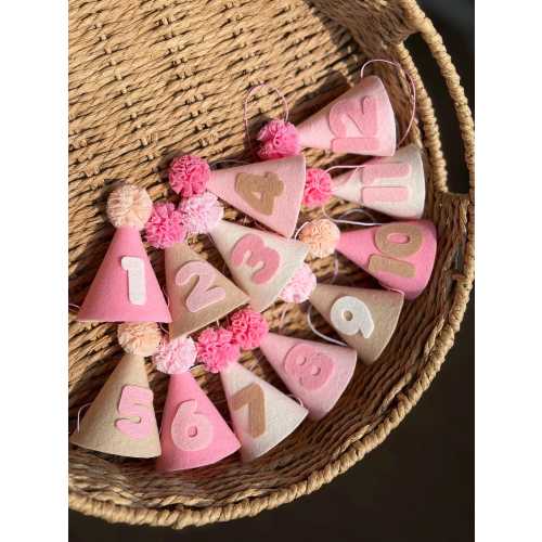 Baby Girl Milestone Hat Set, 12 Monthly Felt Photo Props, Baby First Keepsake