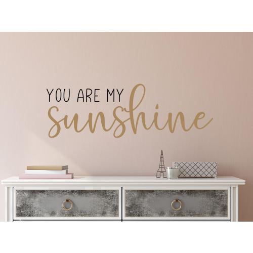 You are my sunshine wall decal- You are my sunshine decal- You are my sunshine mirror decal- Sunshine wall decal- Sunshine nursery