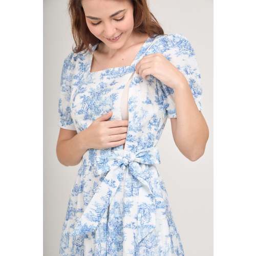 Versa Cotton Dress with Nursing Zippers in Vintage Blue Toile
