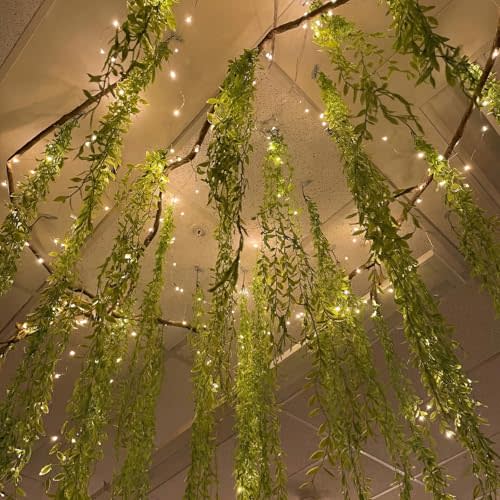 Bucherry Jungle Theme Decoration Set, 68.9ft Artificial Hanging Willow Vines Greenery for Classroom, Woodland Forest Rainforest Safari Party, Enchanted Indoor Outdoor Home Garden Wall DIY Decor