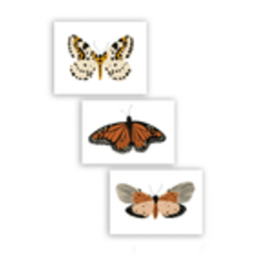 Butterfly Art Bundle – Clementine Kids
