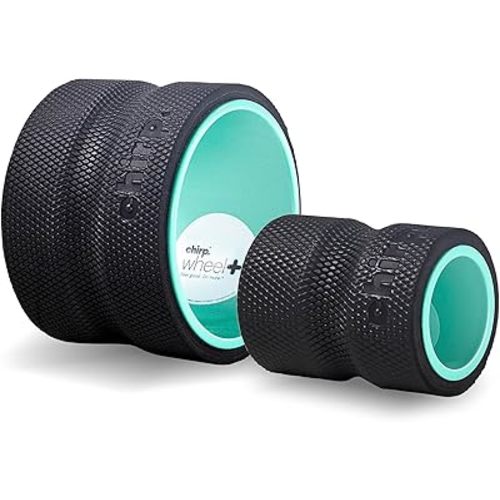 Chirp Wheel Foam Roller – Targeted Back & Neck Relief, Lumbar Spine Stretcher, Spinal Decompression Back Stretcher, Massage Roller with Density Foam for Physical Therapy, Supports 500lbs, 2-Pack Mint
