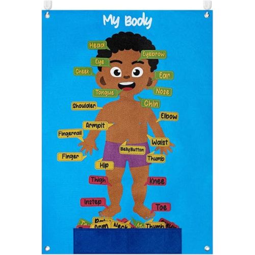 WATINC Body Parts Felt Story Board Set - 35Pcs Human Organ Flannel Teaching Kit, Early Learning Interactive Toy for Toddlers Classroom Homeschool 41x30 Inch (Brown)