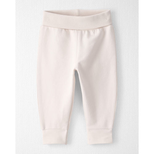 Baby Organic Cotton Knit Pants