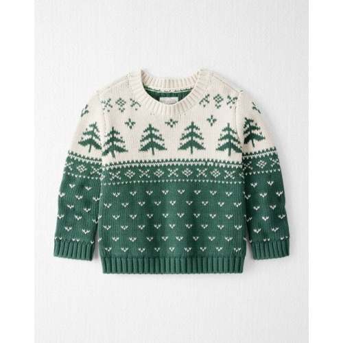 Toddler Organic Cotton Fair Isle Sweater Knit Pullover - Little Planet | Carter's