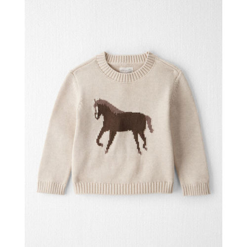 Toddler Organic Cotton Horse Sweater Knit Pullover - Little Planet | Carter's
