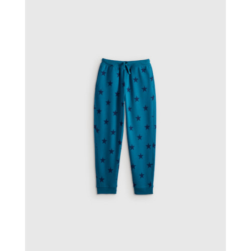Organic Cotton French Terry Joggers - Toddler in Blue Stars