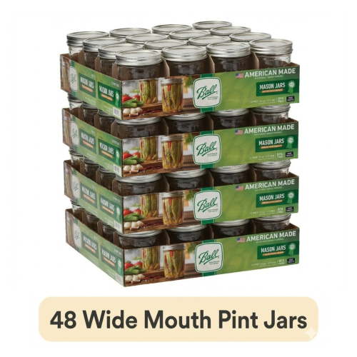 (4 pack) Ball, Glass Mason Jars with Lids & Bands, Wide Mouth, Clear, 16 oz, 12 Count