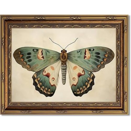 Myzoran Vintage Gold Framed Butterfly Canvas Wall Art,Retro Butterfly Illustration Room Decor,Dark Moody Insect Picture,Antique Moth Artwork for Cottagecore Living Room Bedroom Decoration 9x11 Inch