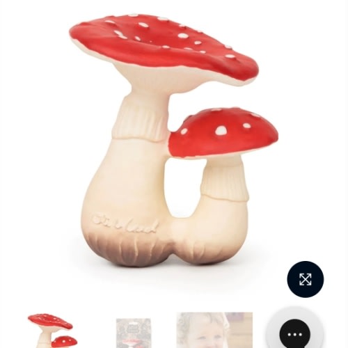 SPOT THE MUSHROOM Teether by Oli & Carol | Barnes & Noble®