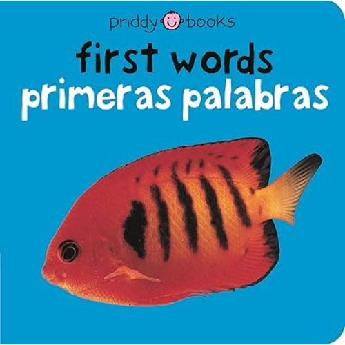 First Words (Bilingual Bright Baby) / Primeras Palabras (Bebe Listo) Board book – Illustrated, December 10, 2007