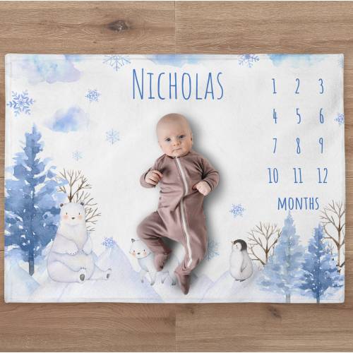 Arctic Milestone Blanket, Custom Arctic Bear Boy Name Blanket, Personalized Penguin Baby Month Blanket, Newborn Gift, Baby Shower Gift