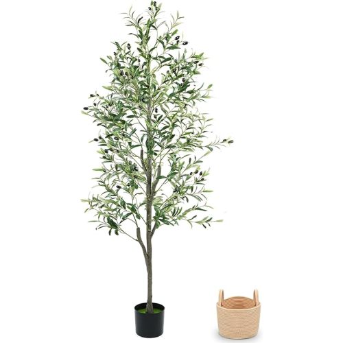 Olive Trees Artificial Indoor 6FT, Faux Olive Tree with Woven Basket & Natural-Looking Wood Trunk, Realistic Leaves & Fruits, Maintenance-Free Tall Fake Olive Tree for Modern Home Office Decor