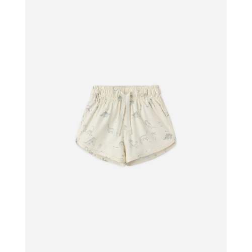 Boys Swim Short Dinosaur