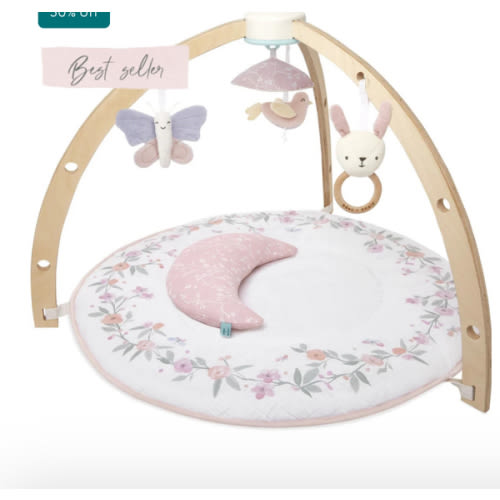 Baby Gym | Premium Baby Activity Gym | aden + anais