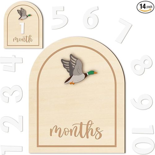 R HORSE Baby Monthly Milestone Cards, 14Pcs 3D Mallard Duck Wooden Monthly Milestone Discs with Number Cards, Newborn Months Signs Announcement Baby Shower Photo Props Gifts for Girls Boys