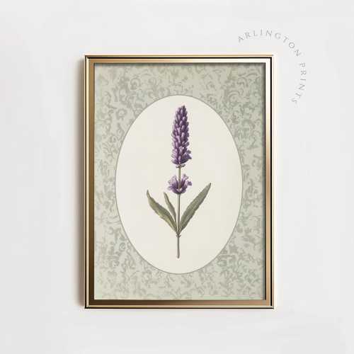 Vintage Cottagecore Lavender Wall Art, PRINTABLE French Country Style Botanical Prints, Nancy Meyers Inspired Art, Farmhouse Flower Decor