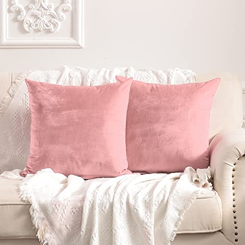 FY FIBER HOUSE Pack of 2 Velvet Throw Pillow Covers Decorative Square Pillowcase Soft Solid Cushion Case for Sofa/Couch Use, 18 x 18 Inch Pink
