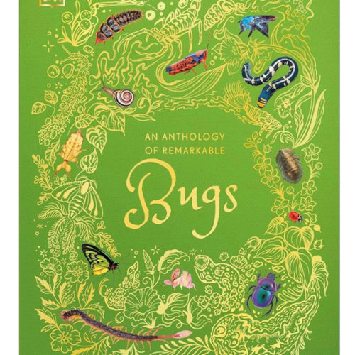 An Anthology of Remarkable Bugs (DK Children's Anthologies)