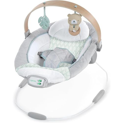 Ingenuity Cozy Spot Soothing Baby Bouncer with Wooden-Toy Arch, Natural Rubber-Toy, Safety Harness, Music & Auto-Shutoff, 0-6 Months, Grey