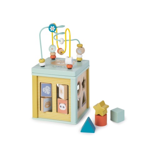 Multi-Activity Cube