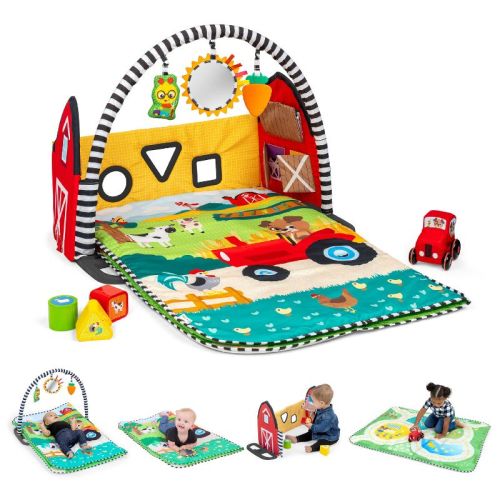 Baby Einstein Farm Explorers Busy Barnyard Grow-With-Me Activity Gym