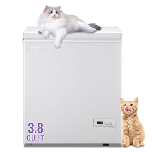 DEMULLER Deep Freezer 3.8Cu.ft with 2 Removable Basket and Manual Defrost Small Deep Freezer Quiet Operation Compressor Cooling Perfect for Homes, White