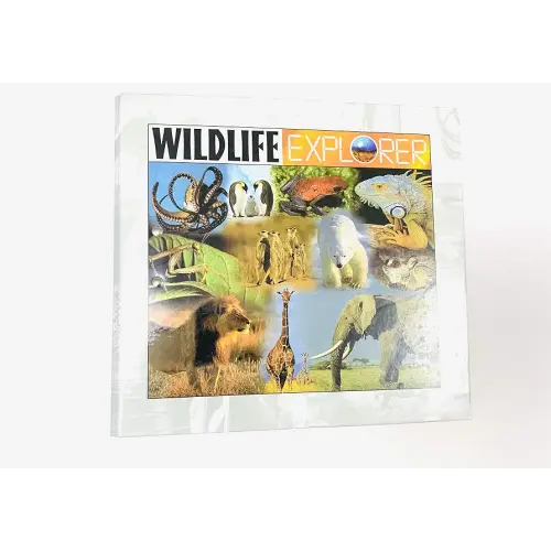 Wildlife Explorer (Group 1 through Group 8)