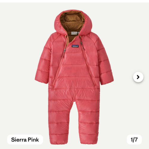 Patagonia Infant Hi-Loft Down Sweater™ Bunting