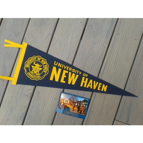 Nice!  UNIVERSITY OF NEW HAVEN Pennant  "The Chargers"  of West Haven, Ct