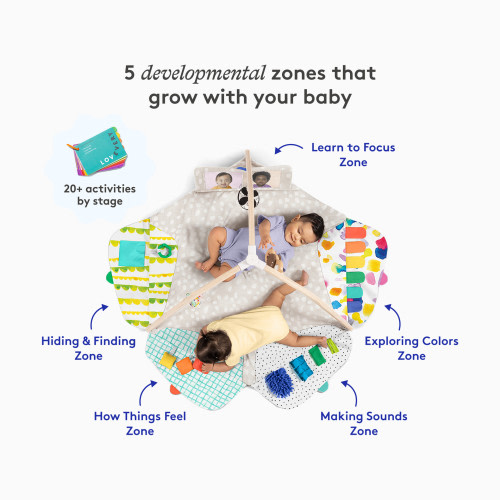 The Play Gym